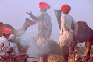 Viaje a India del Norte. Grupo Verano. La India de los Turbantes. Guía acompañante Enric Donate