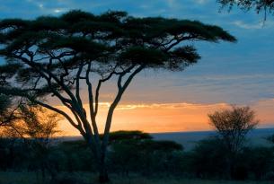 Viaje a Kenia, Tanzania y Zanzíbar. Ruta Memorias de África Clásico en camión. Navidad