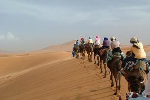 Reinos Nómadas (Marrakech, noche en el desierto y kasbahs)