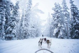 Aventura en Laponia: Auroras Boreales y Papa Noel