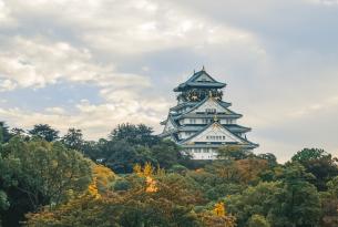 Lo imprescindible de Japón a tu aire con algunas excursiones en grupo guiado