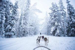 Finlandia: el País de los 1000 Lagos