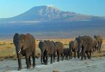 Kenia inolvidable