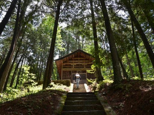 Japón Matsumoto - Especial Semana Santa y Floración de Cerezos desde España