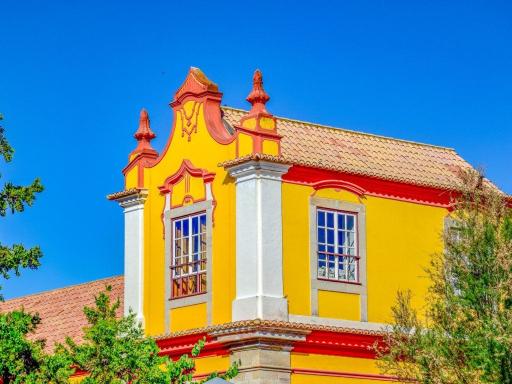 Circuito en grupo por Madeira
