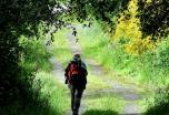 Camino Santiago desde Cebreiro