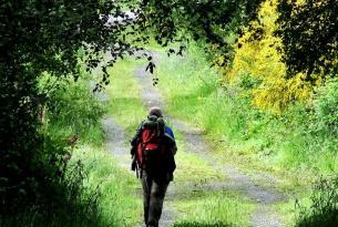 Camino Santiago desde Cebreiro