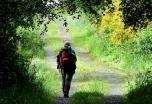 La Ruta del Padre Sarmiento: de Pontevedra a Santiago de Compostela
