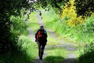 La Ruta del Padre Sarmiento: de Pontevedra a Santiago de Compostela