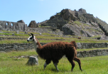 Perú esencial 11 días a medida compartiendo excursiones
