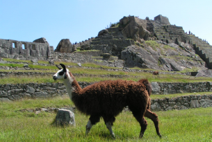 Perú esencial 11 días a medida compartiendo excursiones