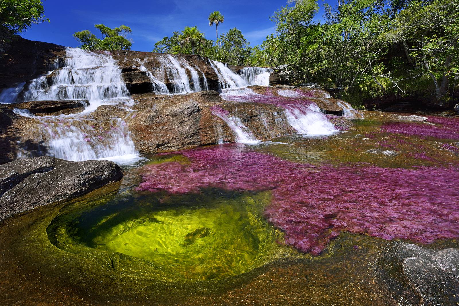 Colombia con Caño Cristales: el río más bonito del mundo