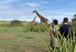 Tanzania. Safari diferente en campos de lujo