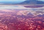 Tanzania con Lago Natron