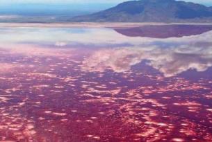 Tanzania con Lago Natron