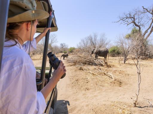 Tanzania en noviembre en campamentos de lujo