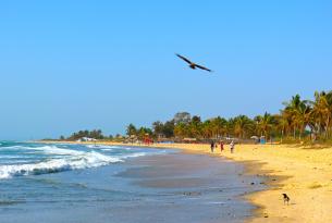 Puente de diciembre del 03 al 11/12  en las playas de Gambia, vuelos desde Barcelona