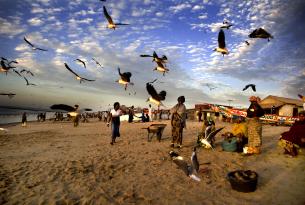 Mini-circuito por Gambia: 3 dias y playa