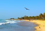 Ríos y Manglares de Gambia (con 4 días de relax en playas)