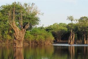 Brasil -  Amazonas, Pantanal, Salvador e Isla de Boipeba - Viaje en Grupo