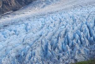 Alaska -  El Gran Norte - Guía naturalista habla castellana. Salidas julio y agosto  