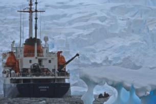 Antártida -  Cruceros de Expedición a la Península Antártica  - M/V Plancius, Ortelius y Ushuaia.  Nov 15' - Mar 16' 