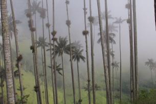 Colombia -  Andes, Café, Caribe y Desierto de la Guajira  - Salidas de Julio a Septiembre