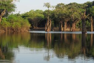 Brasil -  Expedición a la Amazonía por el río Cuieres - Guiada por A. Cánovas, biólogo. Especial Semana Santa 