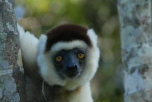 Circuito por el Norte de Madagascar y Nosy Be