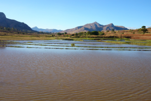 Circuito clásico por Madagascar: desde Andasibe hasta Anakao