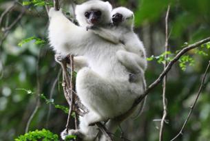 Norte De Madagascar, A Toda Naturaleza