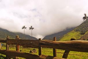 Viaje por el encantador paisaje Andino de colombia