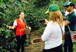 Colombia al detalle: Bogotá, la región cafetera y Cartagena de Indias