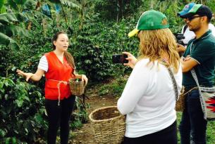 Colombia al detalle: Bogotá, la región cafetera y Cartagena de Indias