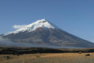 Ecuador: el circuito clásico con Islas Galápagos (crucero)