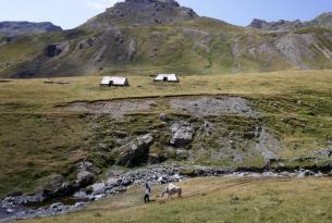 Trekking en las montañas de Albania (8 días)