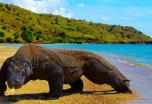 Indonesia: Bali y Komodo en 12 días