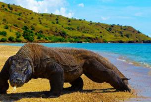 Indonesia: Bali y Komodo en 12 días