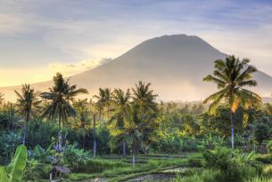 13 dias en Indonesia: Bali Ijen y Gili Asahan