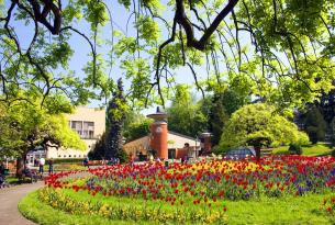 Tour por los Monasterios de Serbia