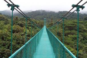 Costa Rica Maravillosa: Parques Nacionales de Tortuguero, Volcán Arenal y Monteverde