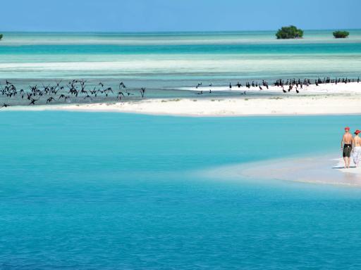 Cayo Largo: paraíso desconocido