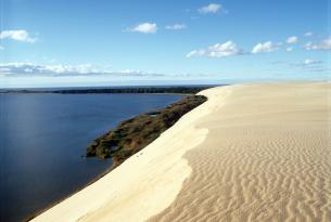 Cicloturismo por los bosques de pinos de la costa de Lituania