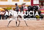 Descubre Andalucía y sus cinco elementos: Cultura, Tradiciones, Gastronomía y mucho más