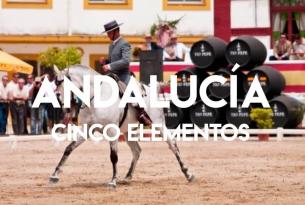 Descubre Andalucía y sus cinco elementos: Cultura, Tradiciones, Gastronomía y mucho más
