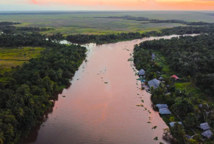 Delta del Orinoco