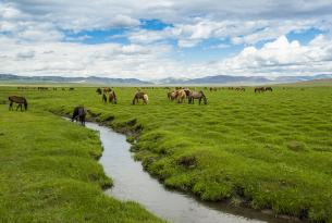 Un viaje inolvidable por Mongolia en grupo
