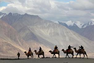 Viaje al increíble Ladakh con guía local en español y coche privado