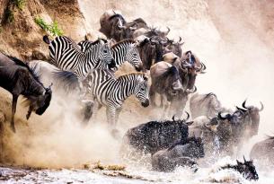 El Sueño de África: safari de lujo en grupo Premium