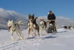 Finlandia. Husky y raquetas en Laponia
